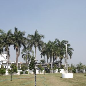 Resort Gallery